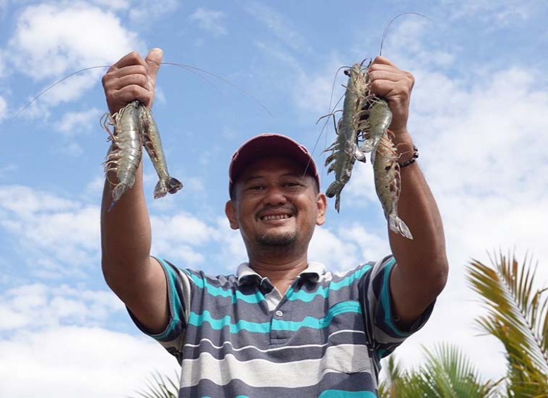 Dulu Mangrove Dianggap Penghalang Tambak, Kini Jadi Kunci Panen Berhasil