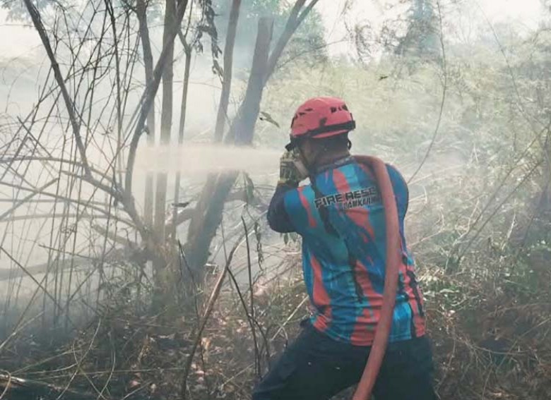 Kebakaran Lahan Beruntun Kembali Terjadi di Samboja, 38 Hektare Terdampak