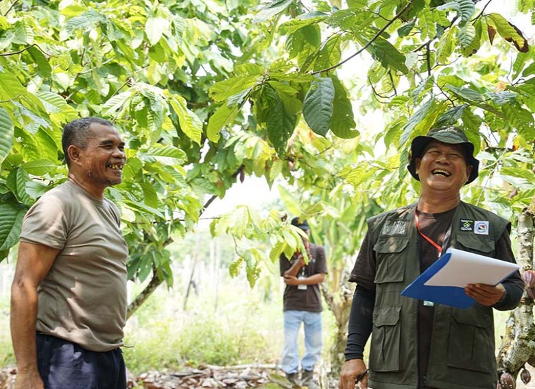 Berau Coal Dampingi 1.290 Petani Kakao Berau, Perkuat Potensi Ekonomi dari Kebun