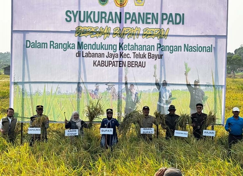 Syukuran Panen Padi Sawah di Labanan Jaya Kabupaten Berau, Disayangkan 11,5 Hektare Gagal Panen Akibat Kekeringan